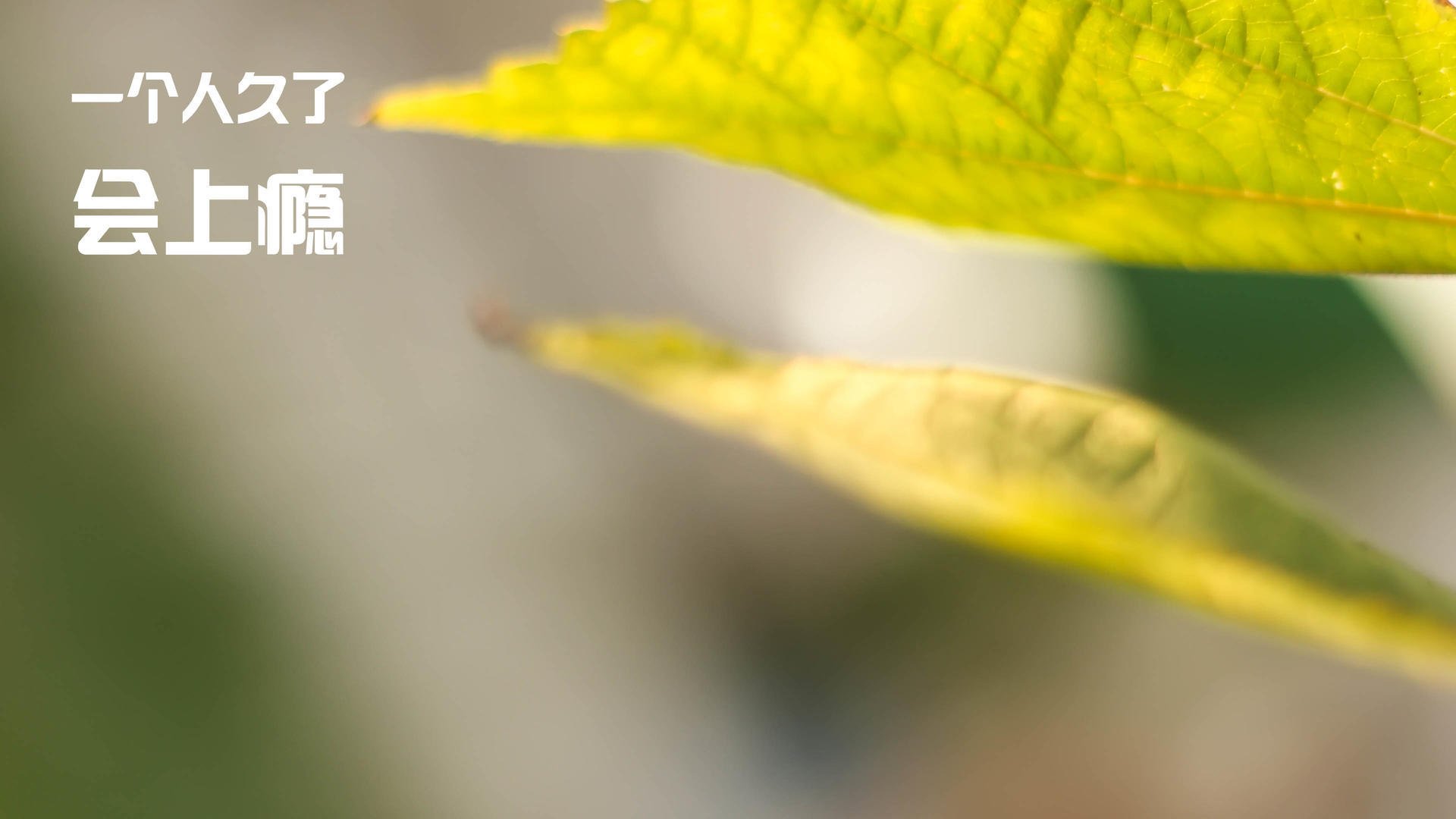 v7.2.5 版本，2026年1月1日，一次面向未来的技术重构