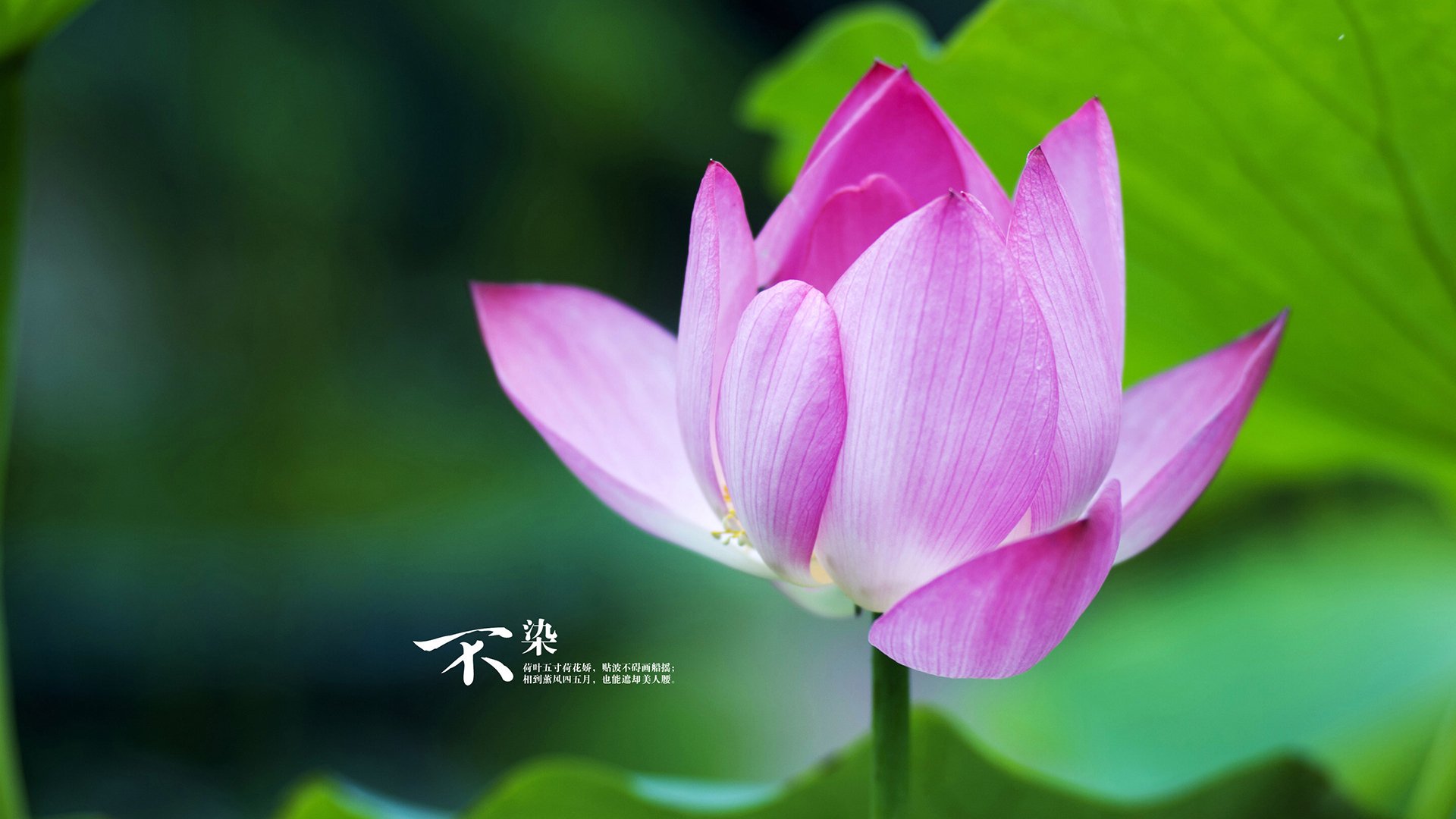 v7.2.5版本正式上线，2026年，以稳健之姿开启智慧新纪元