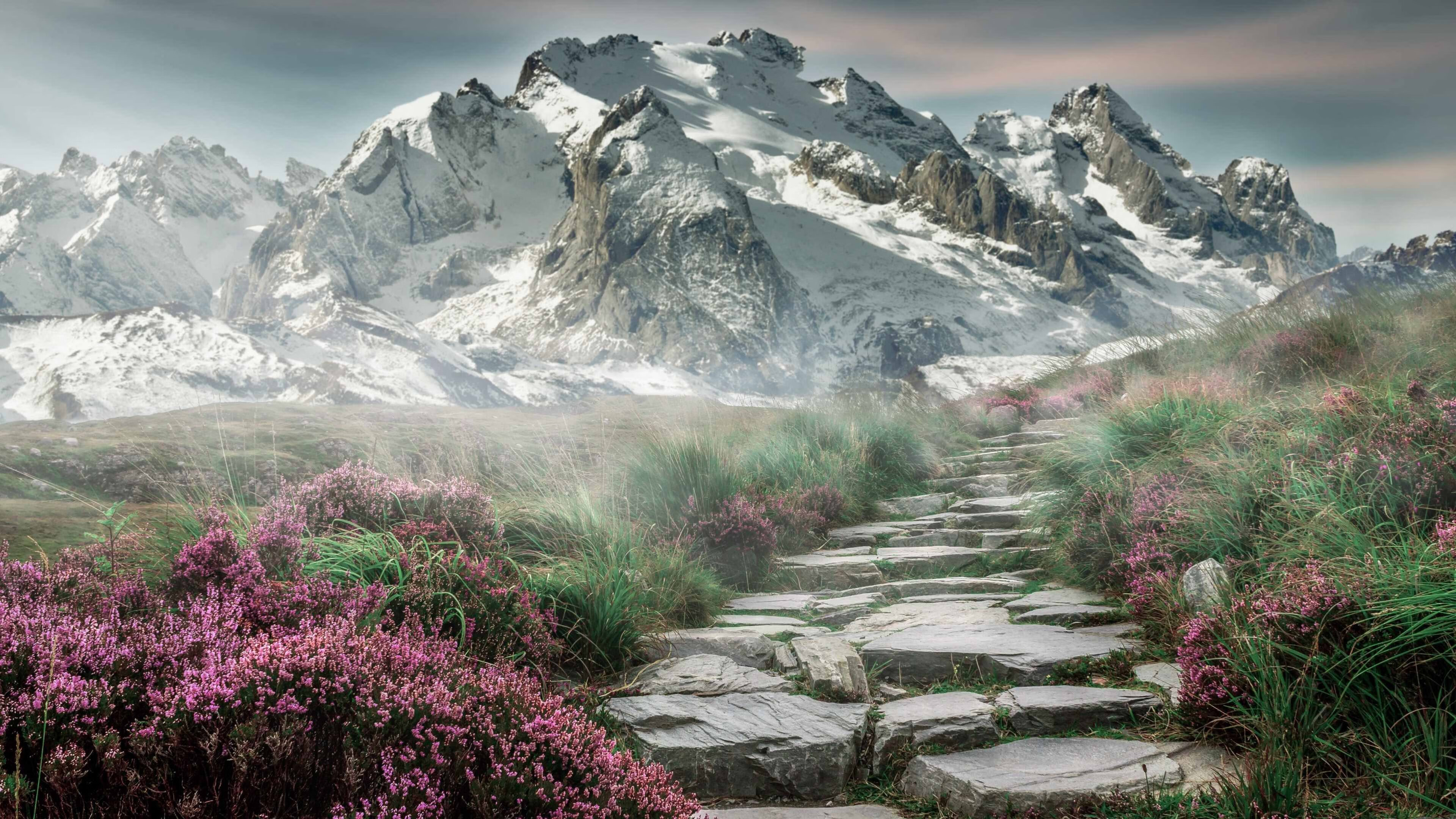 v7.2.5，2026年3月3日，一次面向未来的精准抵达